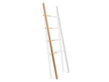 Load image into Gallery viewer, Adjustable Chill Ladder - The Everset
